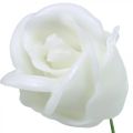 Floristik24 Kunstige roser hvide voksroser dekorative roser voks Ø6cm 18stk