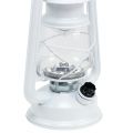 Floristik24 LED lanterne dæmpbar varm hvid 24,5cm med 15 lamper
