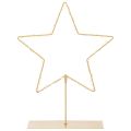Floristik24 Stjerne med 50 LED'er, metalborddekoration, batteridrevet, til indendørs brug, 33 cm