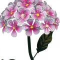 Floristik24 Solblomst, LED havedekoration, dekorativ krysantemum pink L55cm Ø15cm