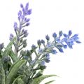 Floristik24 Lavendel i krukke H15cm