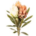 Floristik24 Kunstig Protea Leucadendron-blomst med lang stilk, 65 cm, 3 stk.