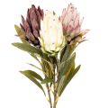 Floristik24 Protea kunstig blomst Leucadendron 100cm 3 stk