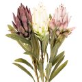 Protea kunstig blomst