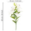 Kunstige liljer, 6 hvide blomster, realistisk blomstrende gren, 66 cm | Floristik24.dk