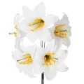Floristik24 Kunstig liljeblomst, hvid, på tråd, mellemstørrelse, 35 cm, 5 stk.