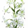 Floristik24 Lily hvid 82cm
