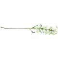 Floristik24 Lily hvid 82cm