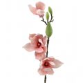 Floristik24 Kunstig magnolia lyserød 70cm