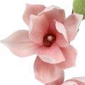 Floristik24 Kunstig magnolia lyserød 70cm
