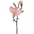 Floristik24 Magnolia Pink Kunstig Blomsterdekoration Kunstig Blomstergren H40cm