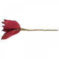 Floristik24 Kunstig magnolia rød kunstig blomsterskum blomsterdekoration Ø10cm 6 stk