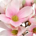 Floristik24 Magnolia bundt pink 40cm 5stk