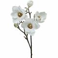 Floristik24 Magnolia gren hvid Dekorativ gren magnolia kunstig blomst