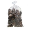 Maritima kogler 14/18 natur 25 stk | Floristik24.dk