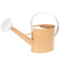 Floristik24 Metal dekorativ vandkande, vintage look, lysebrun, 52,5 cm - plantekasse til borddekoration og sommerdekoration