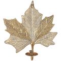 Floristik24 Metal vægdekoration Maple Leaf Lysestage Gylden Antik 42cm × 39cm