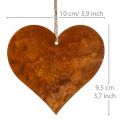 Floristik24 Hjerter til at hænge efterårs metal dekoration patina 9,5×10cm 12stk
