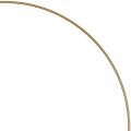 Floristik24 Metalring dekorering Scandi ring deco loop guld Ø 25,5 cm 6 stk