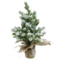 Floristik24 Mini juletræ i sæk snedækket Ø25cm H42cm