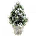 Floristik24 Mini juletræ i potte kunstigt sneet Ø14cm H24cm