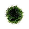 Floristik24 Mini græskuglegrøn kunstplante rund Ø10cm 1stk