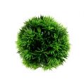 Floristik24 Mini græsbold dekorativ kugle grøn kunstig Ø10cm 1stk