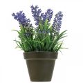 Floristik24 Mini lavendel i potte kunstig plante lavendel dekoration H16cm