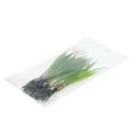 Floristik24 Mini græs med rødder 18 cm grøn 6stk