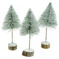 Floristik24 Dekorative grantræer, vinterpynt, juletræ, advent H30 / 32cm Ø13,5cm sæt med 3