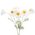 Floristik24 Kunstig valmue, hvid, lang stilk, 78 cm, 3 stk.