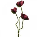 Floristik24 Kunstig valmue kunstig plante rød L55/60/70 cm sæt med 3