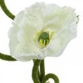 Floristik24 Kunstig blomst kunstig valmue majsrose hvid L55/60/70 cm Sæt med 3