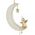 Floristik24 Adventsdekoration, engel på månen, trædekoration til ophængning af hvid, gylden H14,5cm B21,5cm 3stk