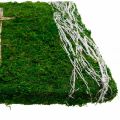 Floristik24 Mosebillede vinstokke og kors til gravopstilling grøn, hvid 40 × 30cm