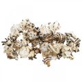 Deco sneglehuse stribede, havsnegle naturlig dekoration 1kg
