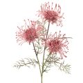 Floristik24 Kunstig blomst nålepude protea blomstrende gren 65 cm 3 stk.