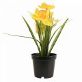 Floristik24 Påskelilje i potte påskelilje gul kunstig blomst H21cm