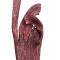 Floristik24 Natraj gevir træblanding rød, hvidvasket 10 stk
