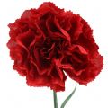 Floristik24 Nelliker kunstig rød 67 cm 9stk