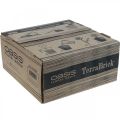 Floristik24 OASIS® TerraBrick™ plug-in sammensat komposterbar 8 stk