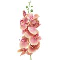 Floristik24 Orkidé Phalaenopsis kunstig 9 blomster pink vanilje 96cm