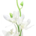 Floristik24 Orkideer kunstige Oncidium kunstige blomster hvide 90cm