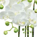 Floristik24 Kunstige orkideer i potte hvid kunstig plante 63cm