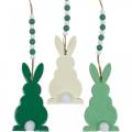 Floristik24 Påskekaniner at hænge, forårspynt, vedhæng, dekorative kaniner grøn, hvid 3stk