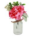 Floristik24 Pæon dekoration i vasen borddekoration sommer pink 20cm