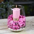 Floristik24 PURE søjlelys 130/70 Pink dekorativt lys bæredygtig naturlig voks