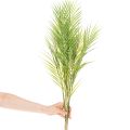 Kunstig palmegren, kunstig plante til arrangementer, 90 cm | Floristik24.dk