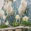 Floristik24 Pampas Græs Hvide Kunstige Tør Græs Kunstige Planter