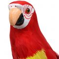 Floristik24 Deco papegøje rød 44cm